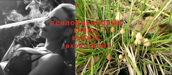 шишки Армянск