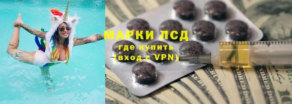 шишки Армянск