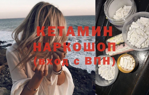 шишки Армянск