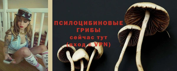 прущая мука Приозерск
