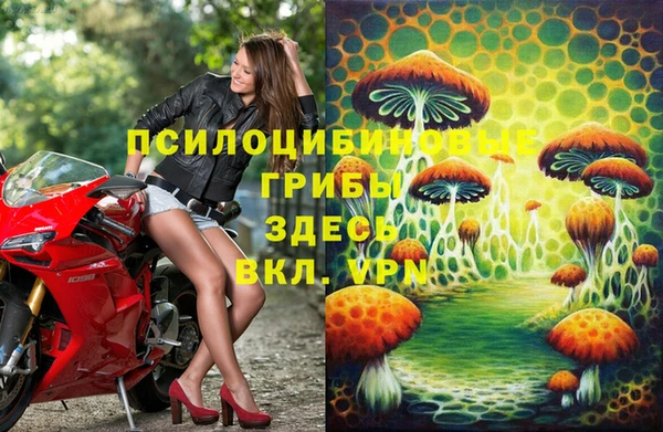 шишки Армянск