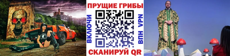 hydra рабочий сайт  Балей  Псилоцибиновые грибы Psilocybe  где найти  